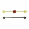 Budget π₯° Plated Rose Industrial Barbells 2 Pack - 14 Gauge β€οΈ 1 Budget π₯° Plated Rose Industrial Barbells 2 Pack - 14 Gauge β€οΈ -Playboy Shop 03312733 a