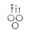 Hot Sale 🧨 Multi-Pack Ombre Nose Rings 6 Pack - 20 Gauge 🎁 -Playboy Shop 03324530 a