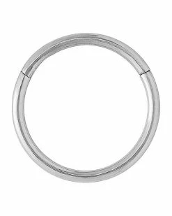 Cheapest 🥰 Hinged Hoop Nose Ring - 20 Gauge 🎁