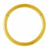 Cheap 🧨 Goldtone Hinged Hoop Nose Ring - 20 Gauge 🛒 -Playboy Shop 03544236 a