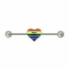 Brand new 🥰 Rainbow Heart Equality Industrial Barbell - 14 Gauge 💯
