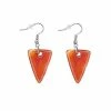 Best reviews of ✨ Carnelian Fish Hook Dangle Earrings 🛒