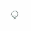 Promo 👍 CZ Silvertone Hinged Septum Ring - 16 Gauge 🛒 -Playboy Shop 03773280 a