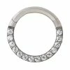Flash Sale π Titanium CZ Hinged Hoop Ring - 16 Gauge π 2 Flash Sale π Titanium CZ Hinged Hoop Ring - 16 Gauge π -Playboy Shop 03830700 a