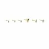 Best deal π― Multi-Pack CZ Butterfly and Flower Stud Nose Rings 6 Pack - 20 Gauge π₯° 2 Best deal π― Multi-Pack CZ Butterfly and Flower Stud Nose Rings 6 Pack - 20 Gauge π₯° -Playboy Shop 03913803 a