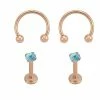 Outlet 🧨 Multi-Pack CZ Rose Goldtone Titanium Horseshoe Rings and Labret Lip Rings 2 Pair - 16 Gauge 👏 2 Outlet 🧨 Multi-Pack CZ Rose Goldtone Titanium Horseshoe Rings and Labret Lip Rings 2 Pair - 16 Gauge 👏 -Playboy Shop 04100889 a