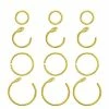 Promo βοΈ Multi-Pack Goldtone Hoop Nose Rings and Fake Hoop Nose Rings 12 Pack - 20 Gauge π₯ 1 Promo βοΈ Multi-Pack Goldtone Hoop Nose Rings and Fake Hoop Nose Rings 12 Pack - 20 Gauge π₯ -Playboy Shop 04102570 a